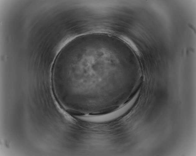 X0000091461439200708231307