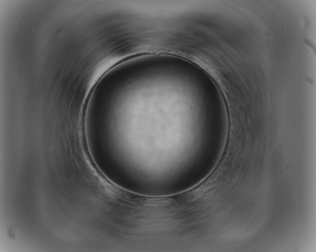 X0000091461440200708231307