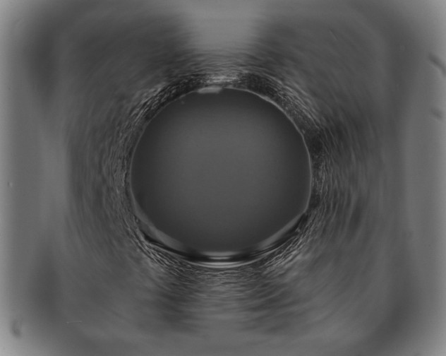 X0000091461441200708231306