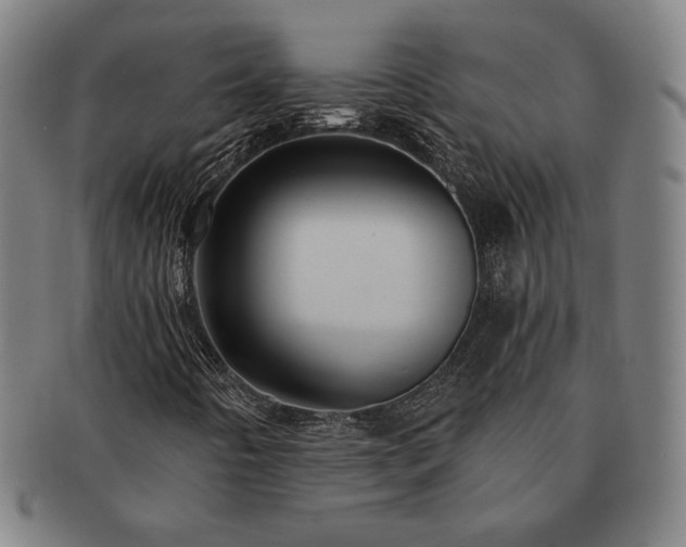 X0000091461442200708231306