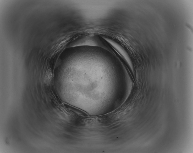 X0000091461444200708231306