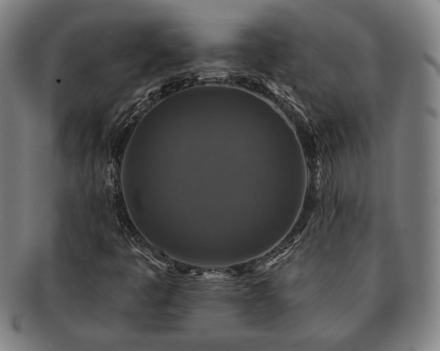 X0000091461445200708231306