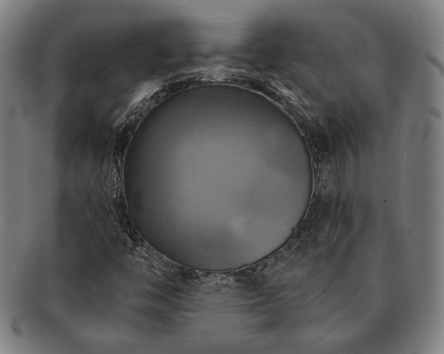 X0000091461446200708231306