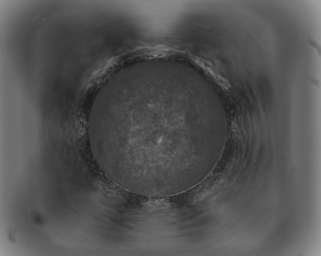 X0000091461447200708231306