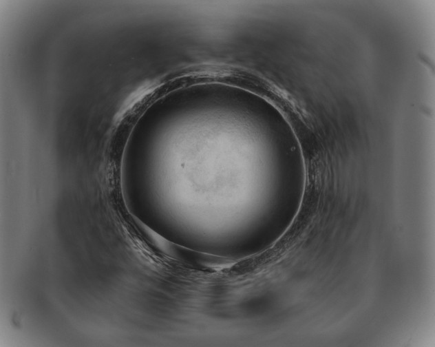 X0000091461448200708231306