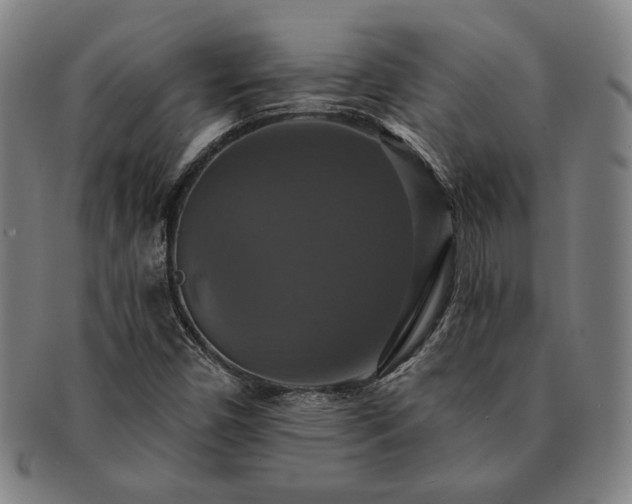 X0000091461450200708231306