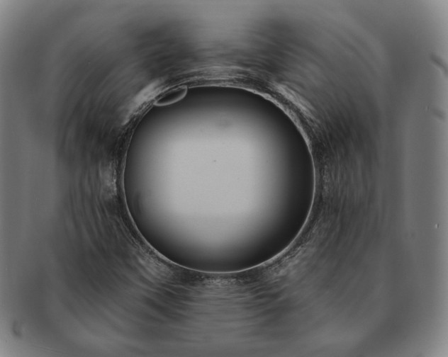 X0000091461451200708231306