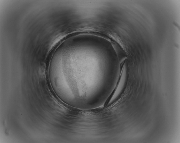 X0000091461452200708231306