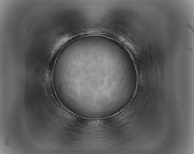 X0000091461454200708231306