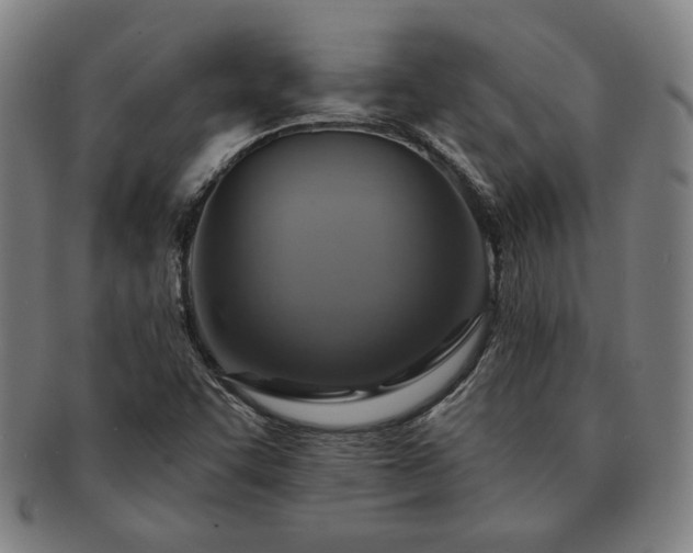 X0000091461455200708231306
