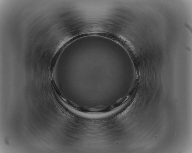 X0000091461457200708231306