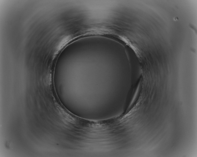X0000091461459200708231306