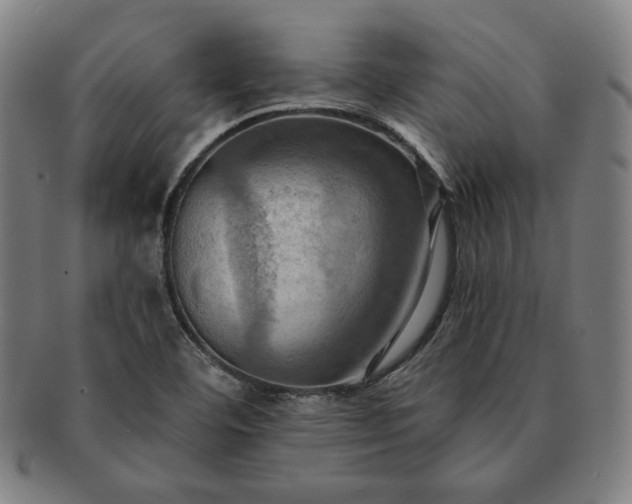 X0000091461460200708231306