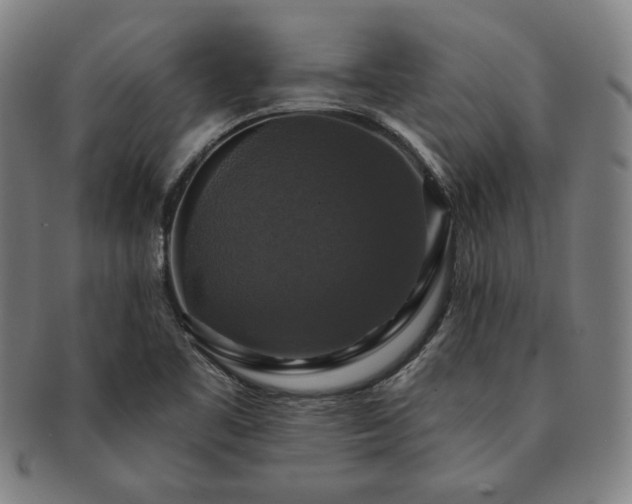 X0000091461461200708231306