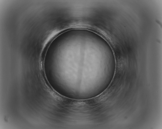 X0000091461462200708231306