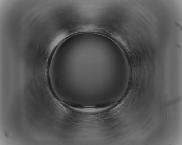 X0000091461463200708231306