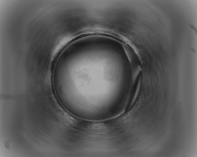 X0000091461464200708231306