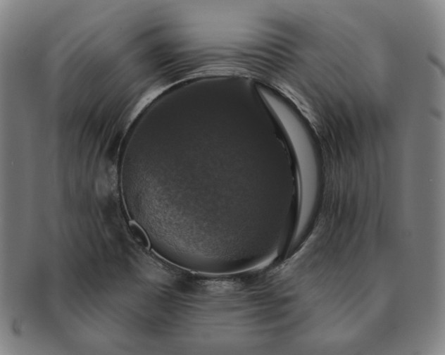 X0000091461465200708231306