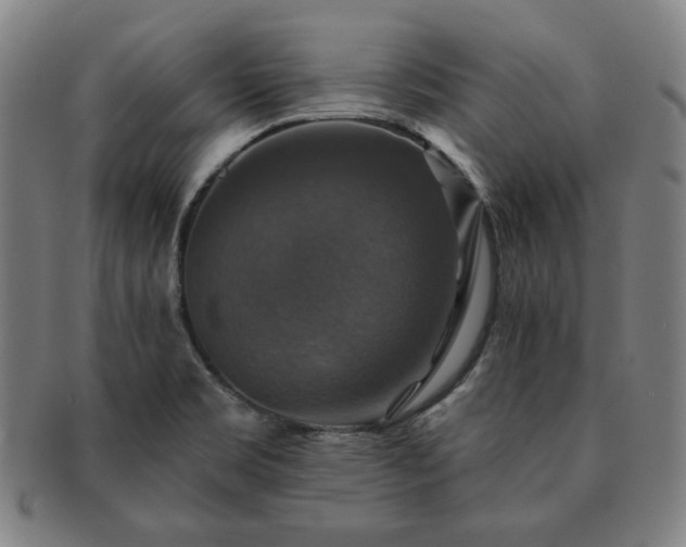 X0000091461469200708231306