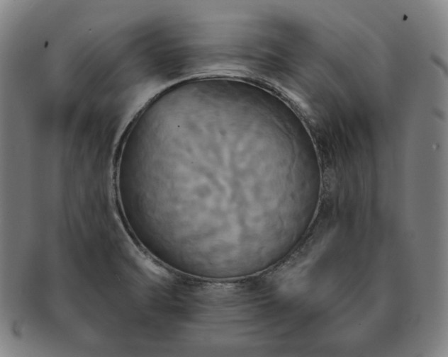 X0000091461470200708231306