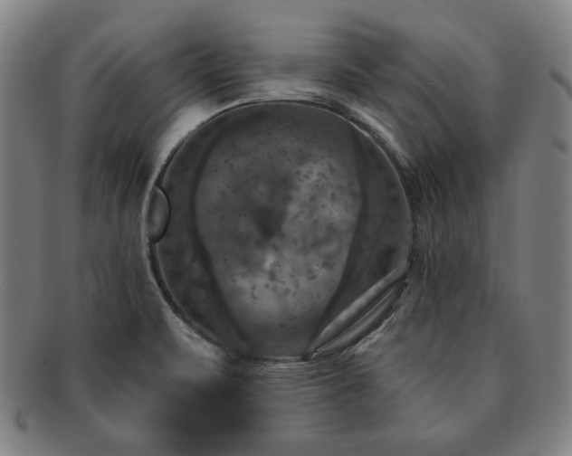 X0000091461471200708231306