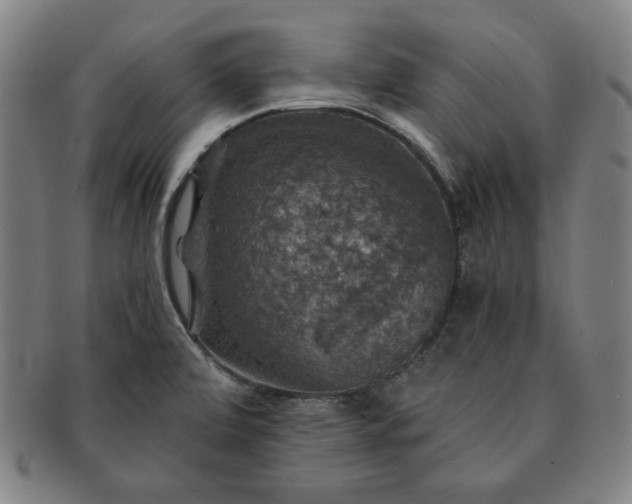 X0000091461472200708231306