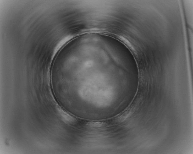 X0000091461474200708231306