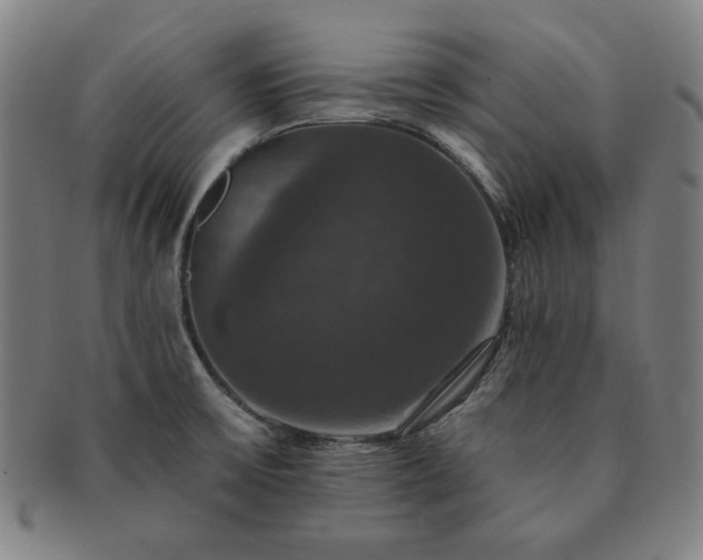 X0000091461475200708231306