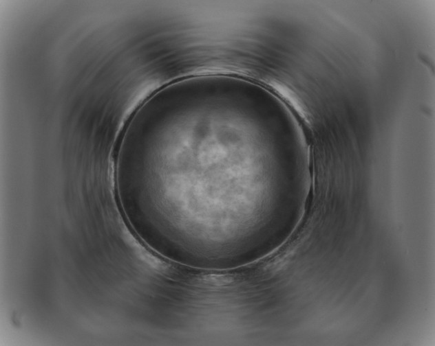 X0000091461476200708231306