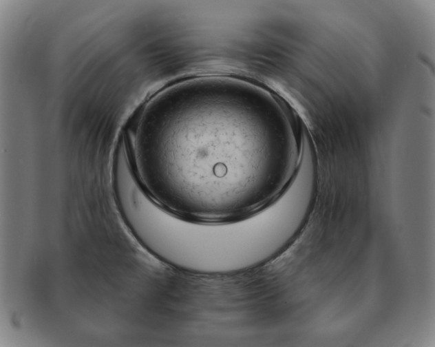 X0000091461477200708231306