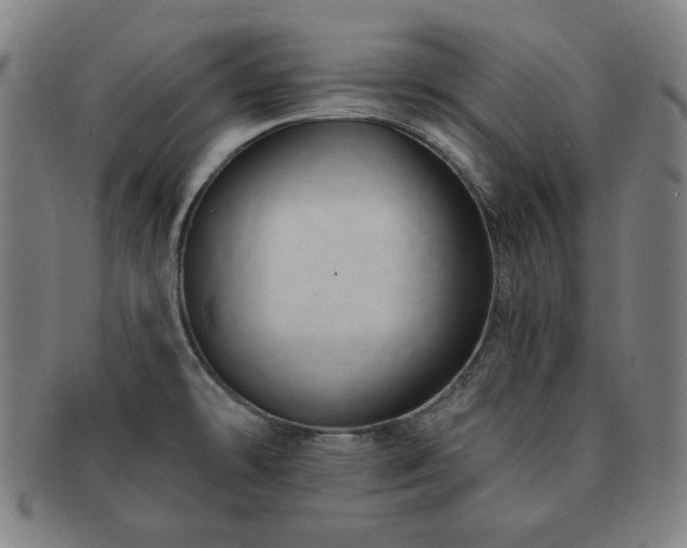 X0000091461478200708231306