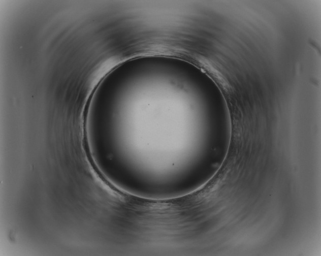 X0000091461479200708231306