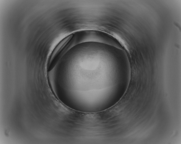X0000091461480200708231306