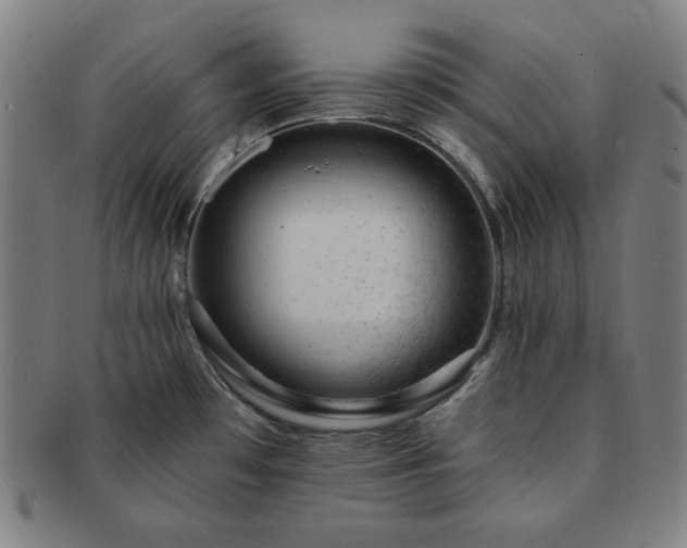 X0000091461481200708231306