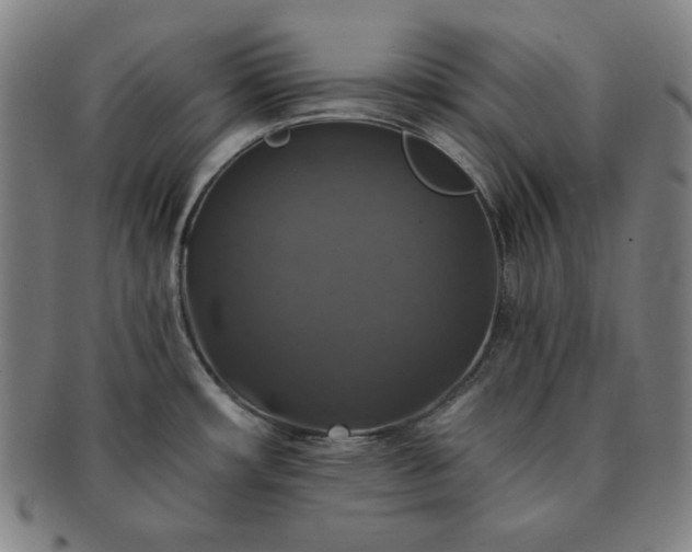 X0000091461482200708231306