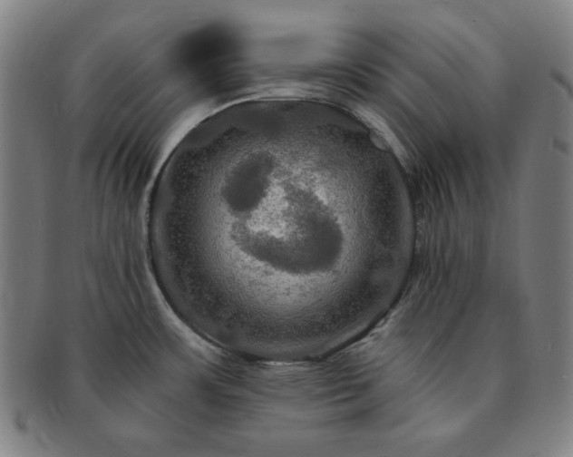 X0000091461483200708231306