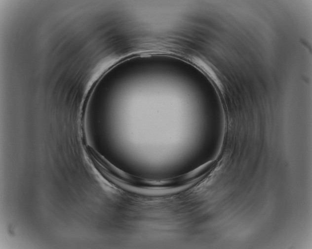 X0000091461485200708231306