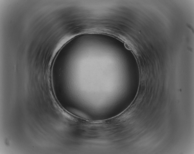 X0000091461486200708231306