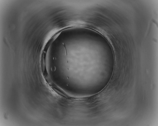 X0000091461488200708231306