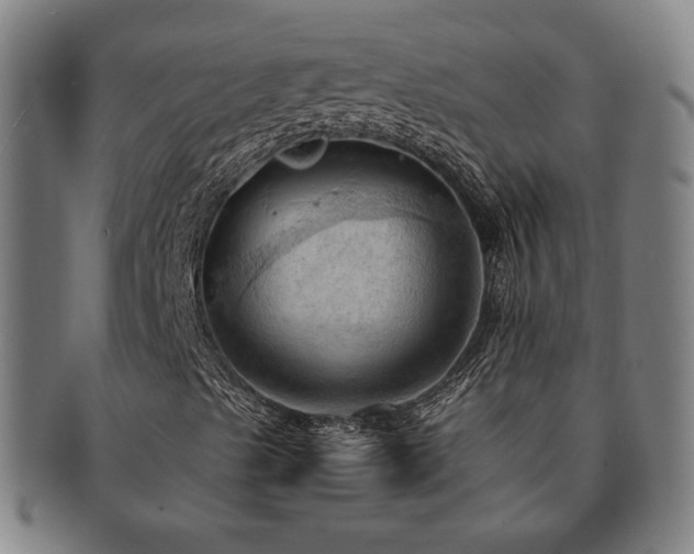 X0000091461489200708231305