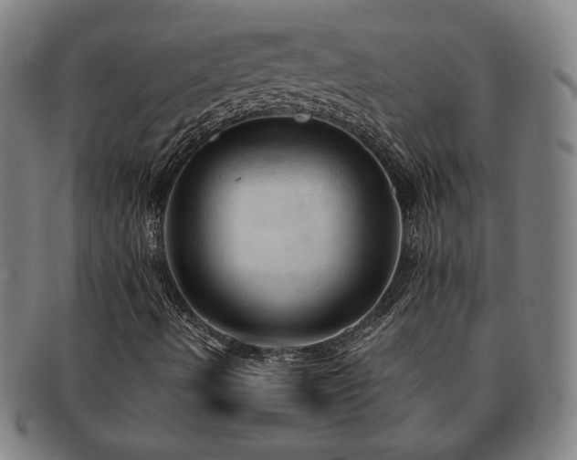 X0000091461490200708231305