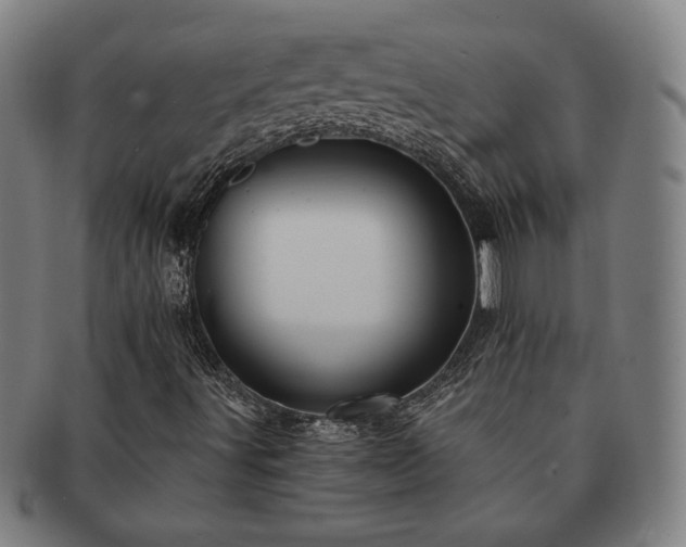 X0000091461491200708231305