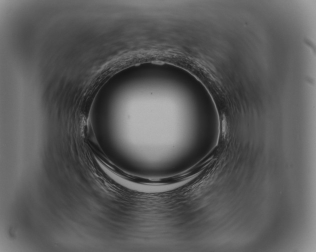 X0000091461492200708231305