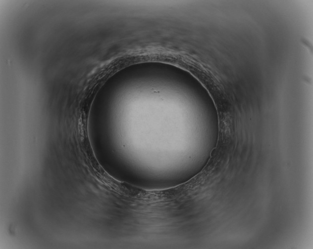 X0000091461493200708231305