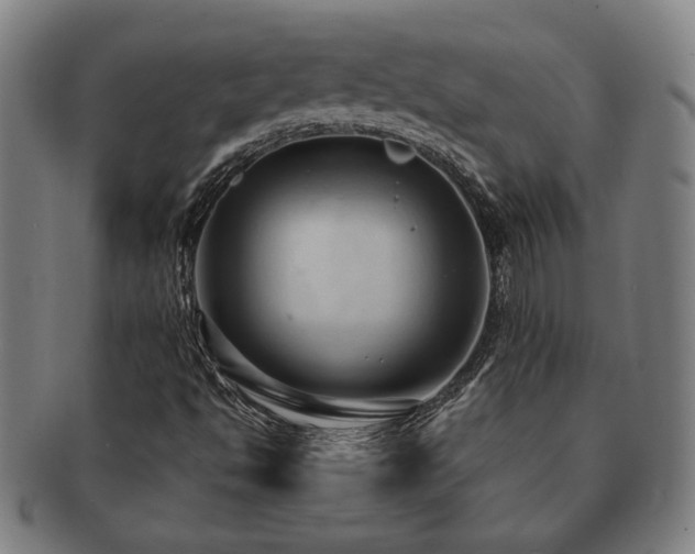 X0000091461494200708231305