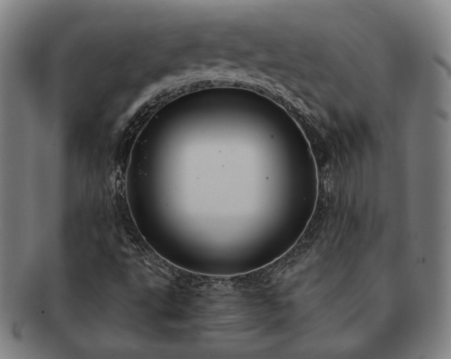X0000091461495200708231305