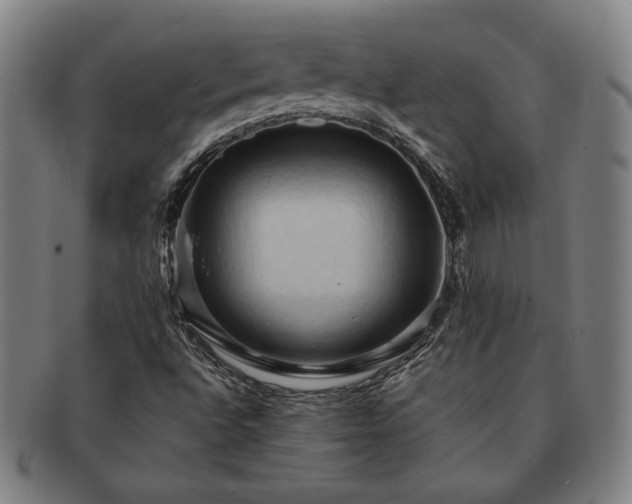 X0000091461496200708231305
