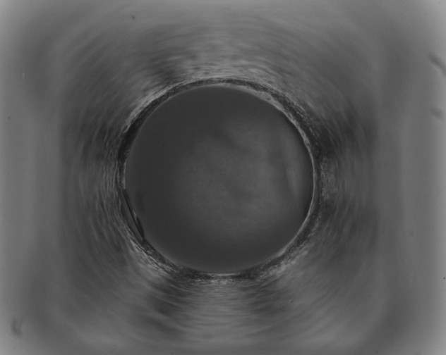 X0000091461497200708231305