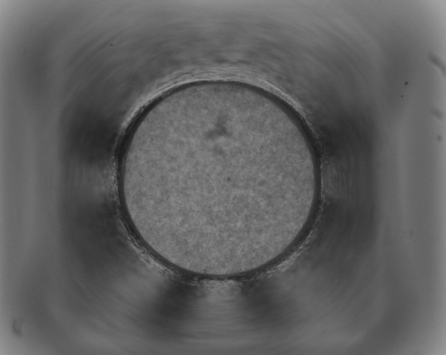 X0000091461498200708231305
