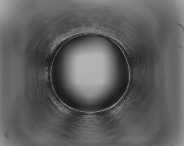 X0000091461499200708231305